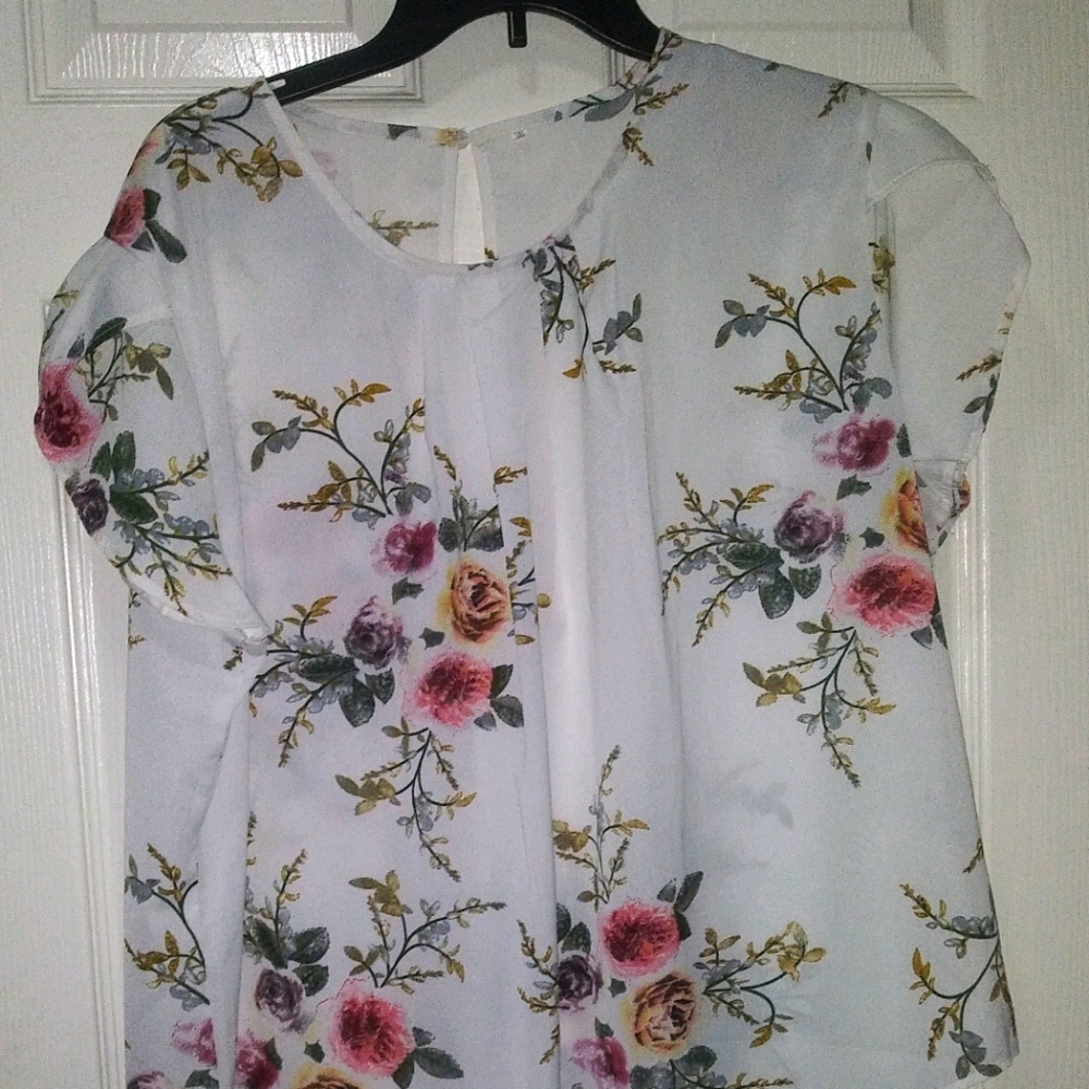 Women's plus size sheer tops